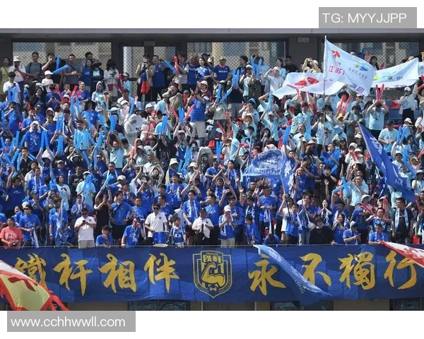 南京极限运动队协作能力深度对比与分析探讨